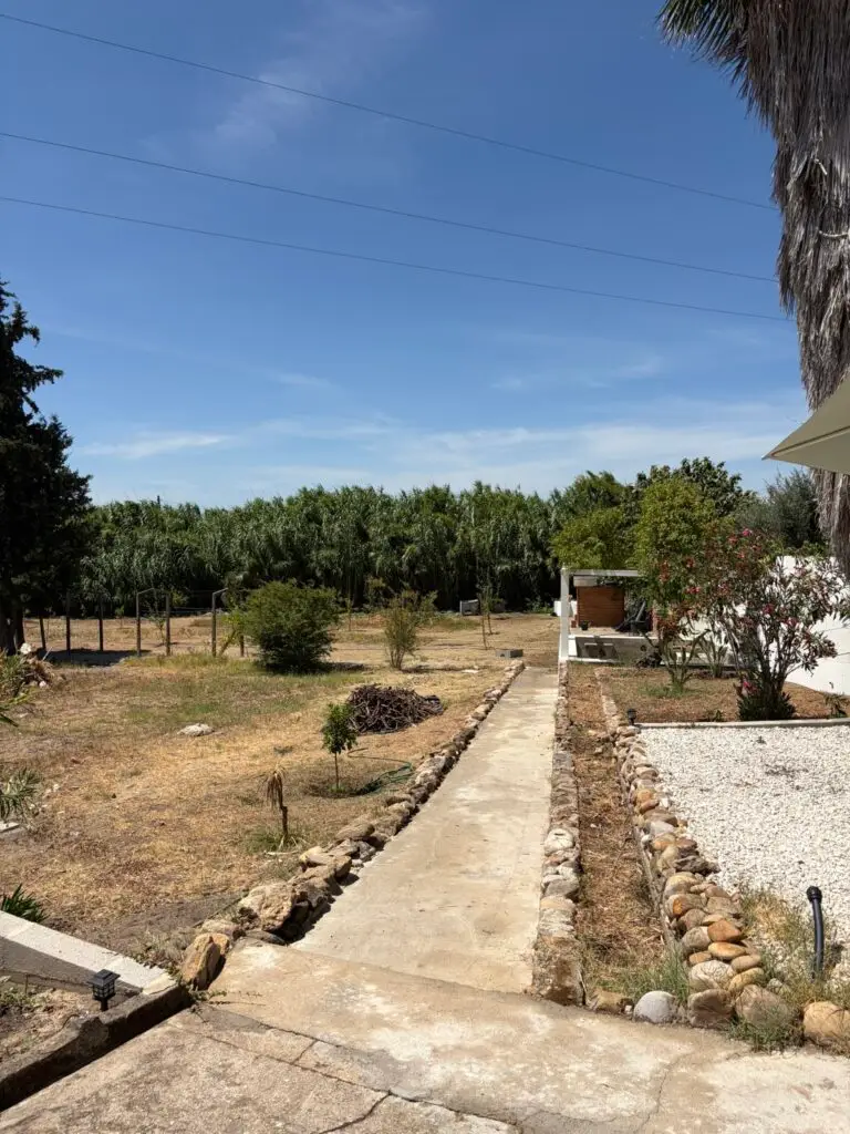 Exterior_8